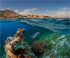 photo "A look under the water"