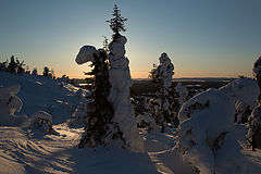 фото "Winter"