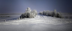фото "Снежное безмолвие"