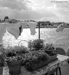 photo "a windy day"