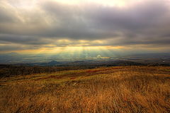 photo "***"