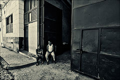 фото "***"