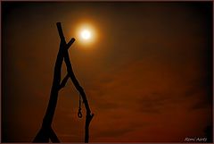фото "The gallows at full moon"