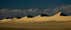photo "Dunes 10"