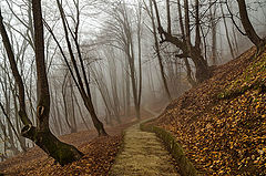 photo "***"