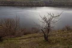 photo "***"