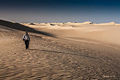 фото "Roaming photographer"