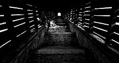 фото "Song"