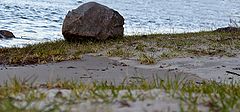 photo "***"