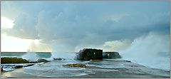 photo "violence of nature"