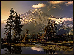photo "***"