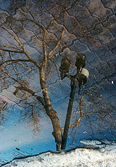 photo "***"