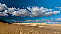 фото "Sand Dunes and textures"