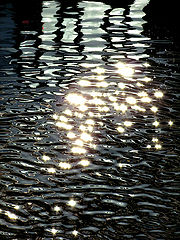 фото "aqua"