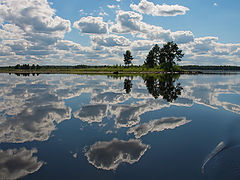 фото "Зной"