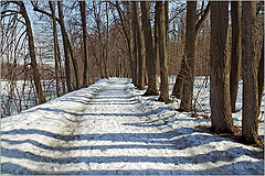 photo "Rhythms of the park alley"