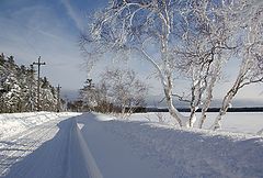 фото "у дороги"