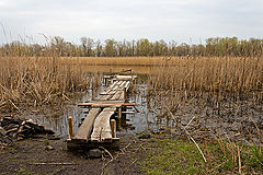 photo "***"