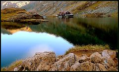 photo "Nature Poetry"