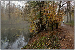 photo "It drizzles"