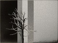 фото "***"