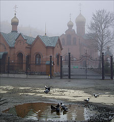 photo "Autumn spring"