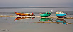 photo "Red, Blue, Green"