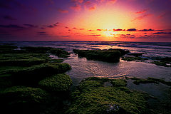 photo "***"