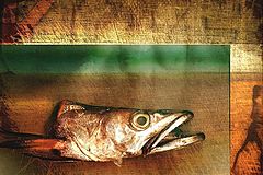 photo "A FISH"