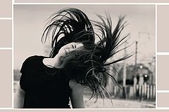 фото "wind"