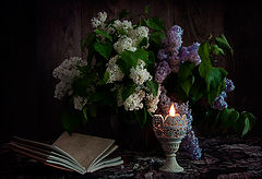 photo "Night with the scent of lilacs"