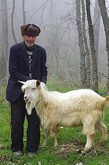 фото "Дядо с коза"
