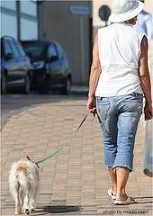 photo "walking"