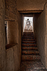 фото "Ascending to light"