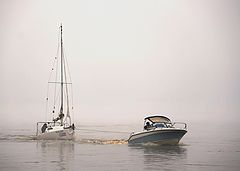 photo "***"