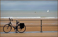 photo "Oostende ..."