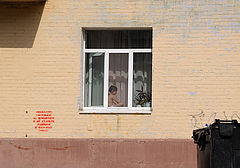 фото "***"