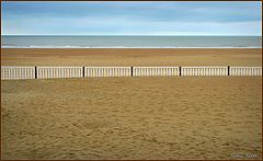 photo "Playing with lines"