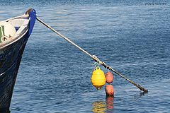 photo "calm waters"