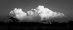 photo "***"