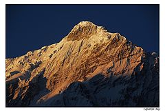 фото "Nilgiri Mnt."