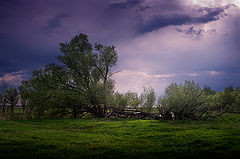 photo "About the life"