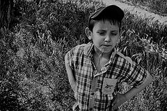 photo "***"
