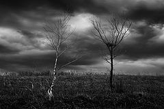 photo "***"