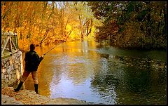 фото "Fishing Stories"
