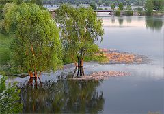 photo "Flood"