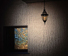photo "***"