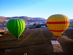 фото "Smooth landing"