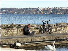 photo "The reader"