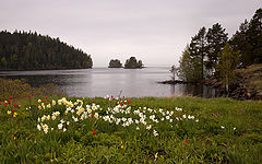 photo "***"